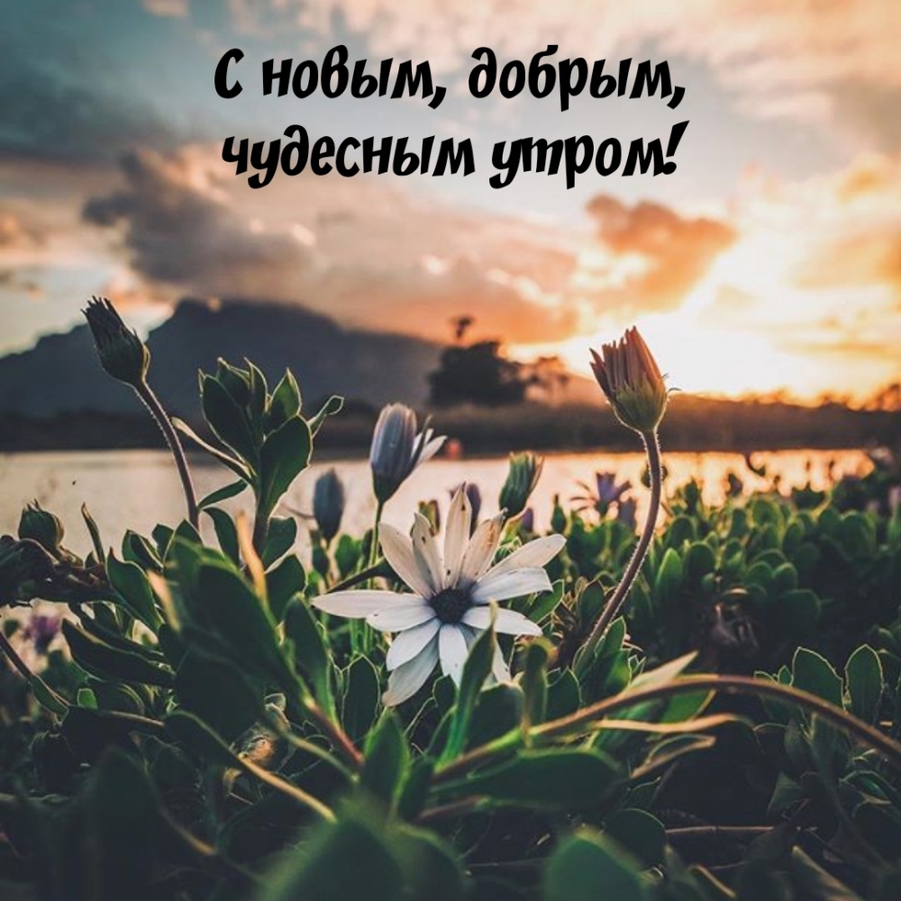 � �����, ������, �������� �����!.