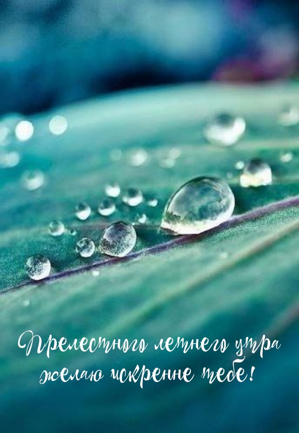 ����������� ������� ���� ����� �������� ����!.