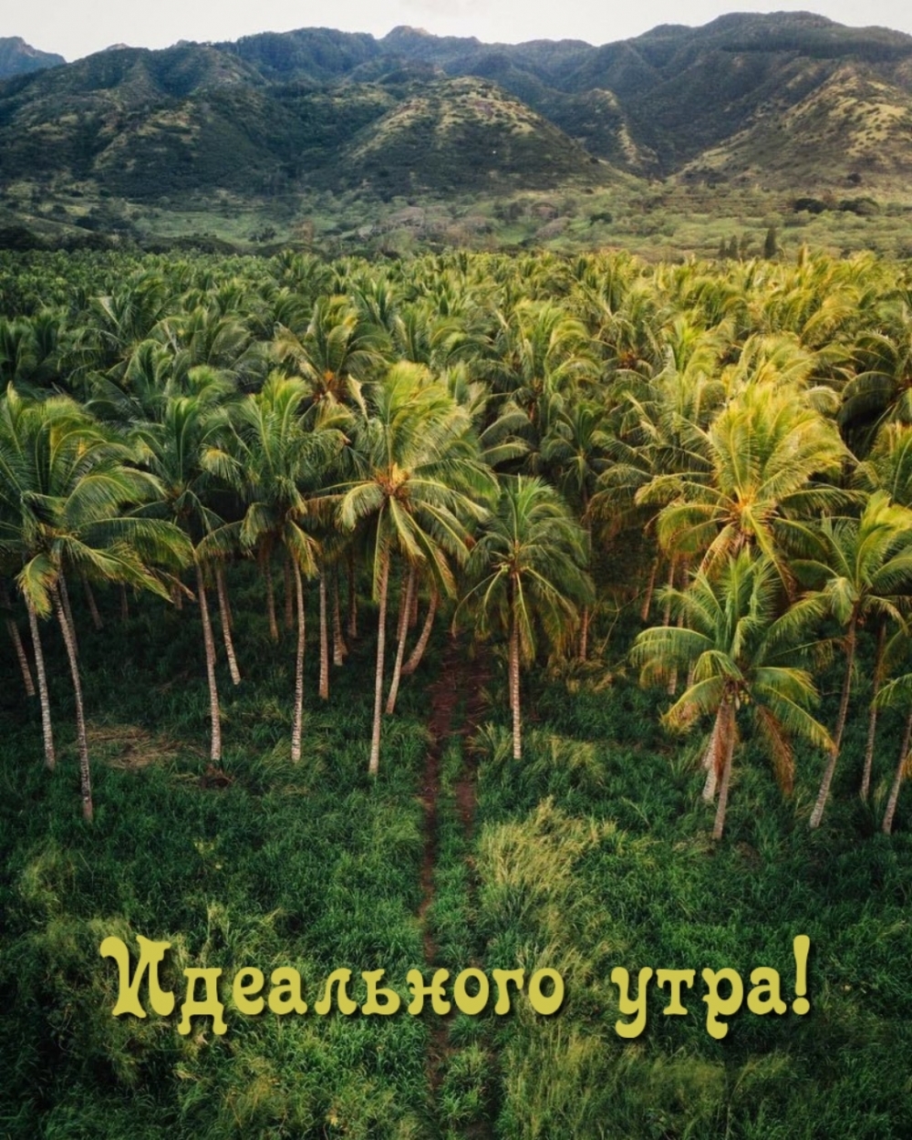 ���������� ����!.