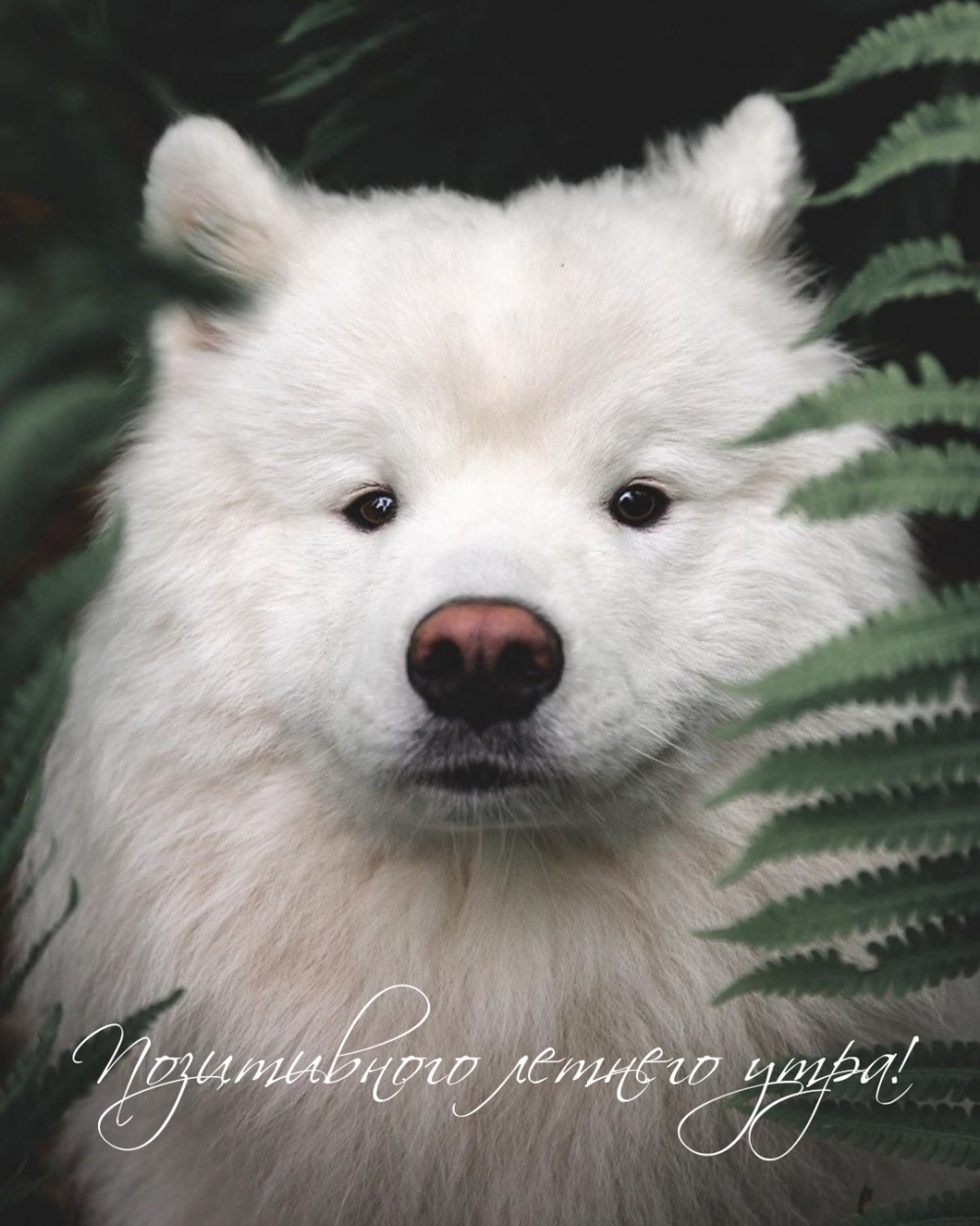 ����������� ������� ����!.