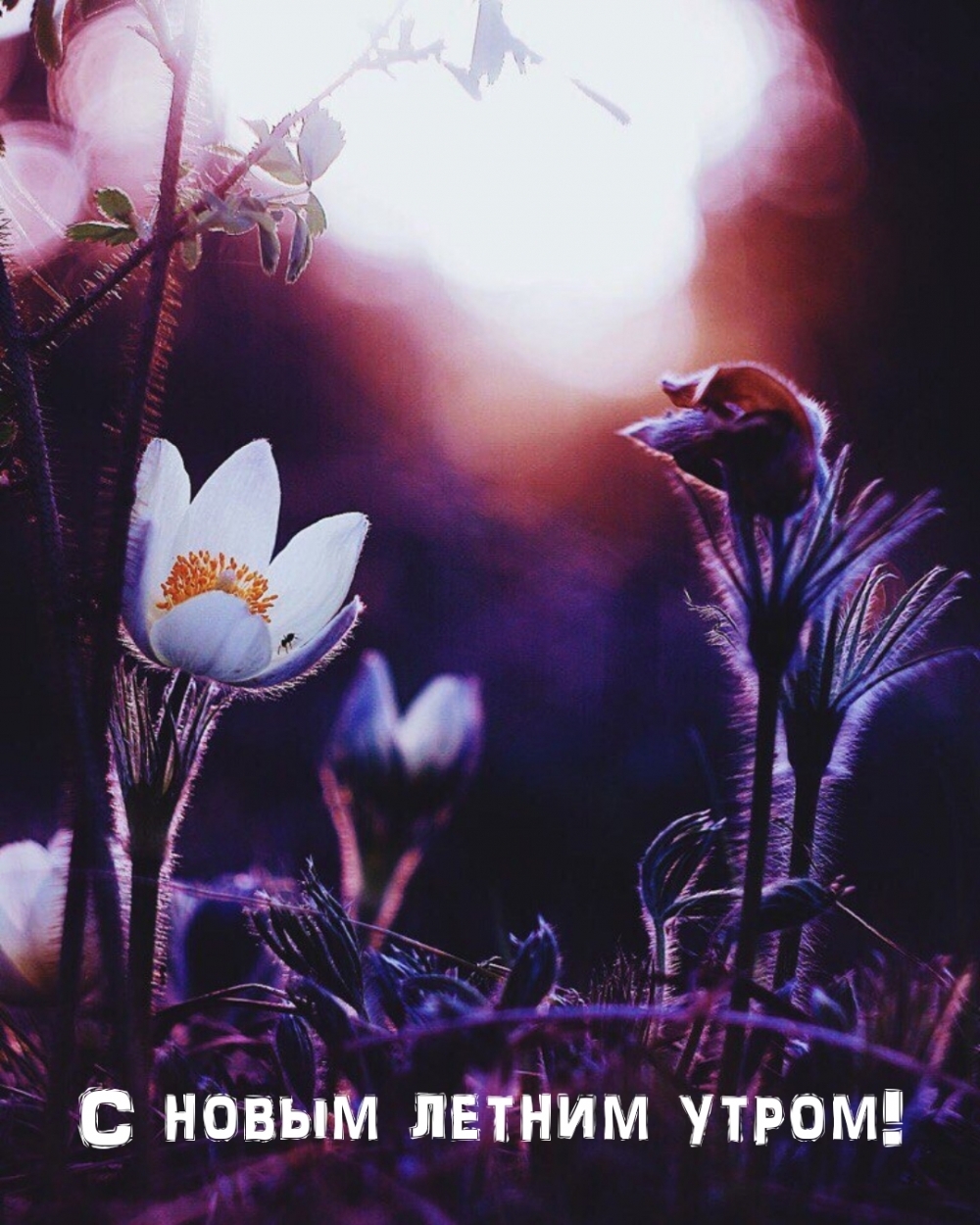 � ����� ������ �����!.