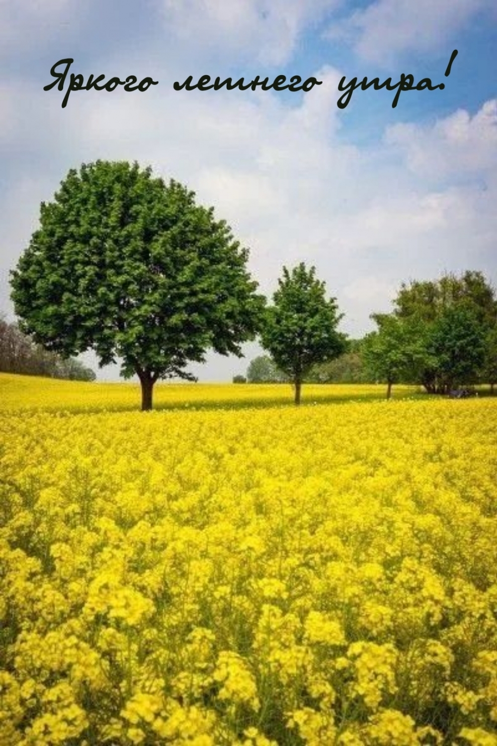 ������ ������� ����!.