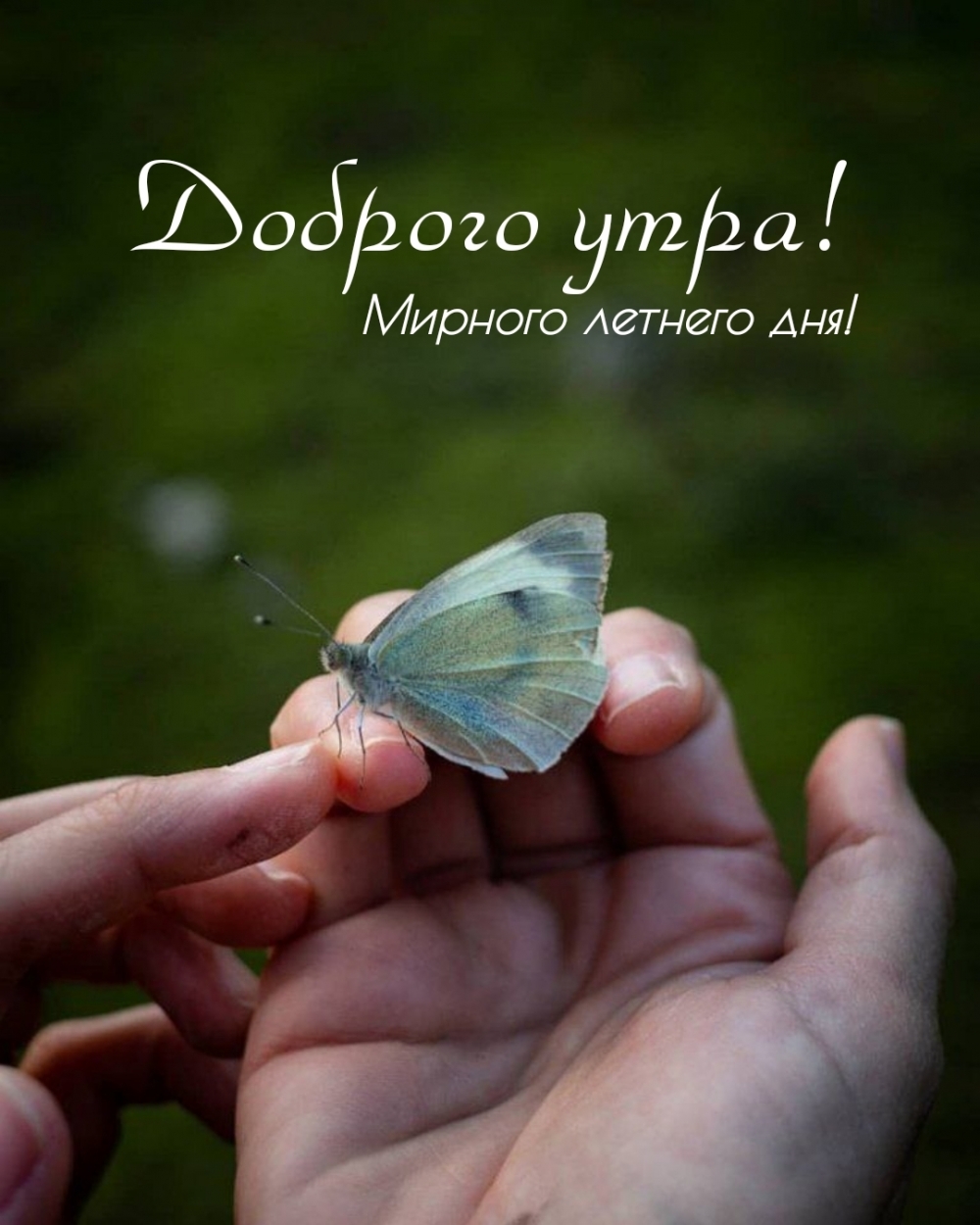 ������ ����! ������� ������� ���!.