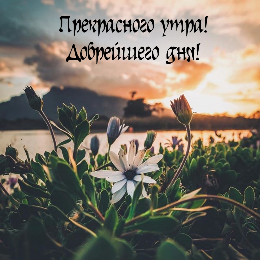 ����������� ����! ���������� ���!