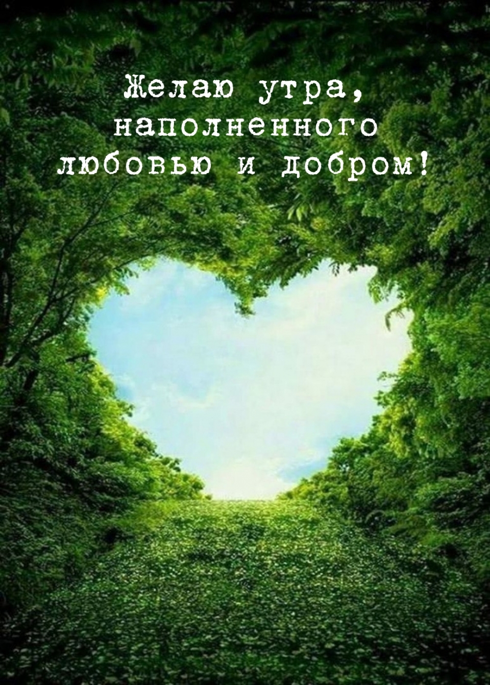 ����� ���� ������������ ������� � ������!.