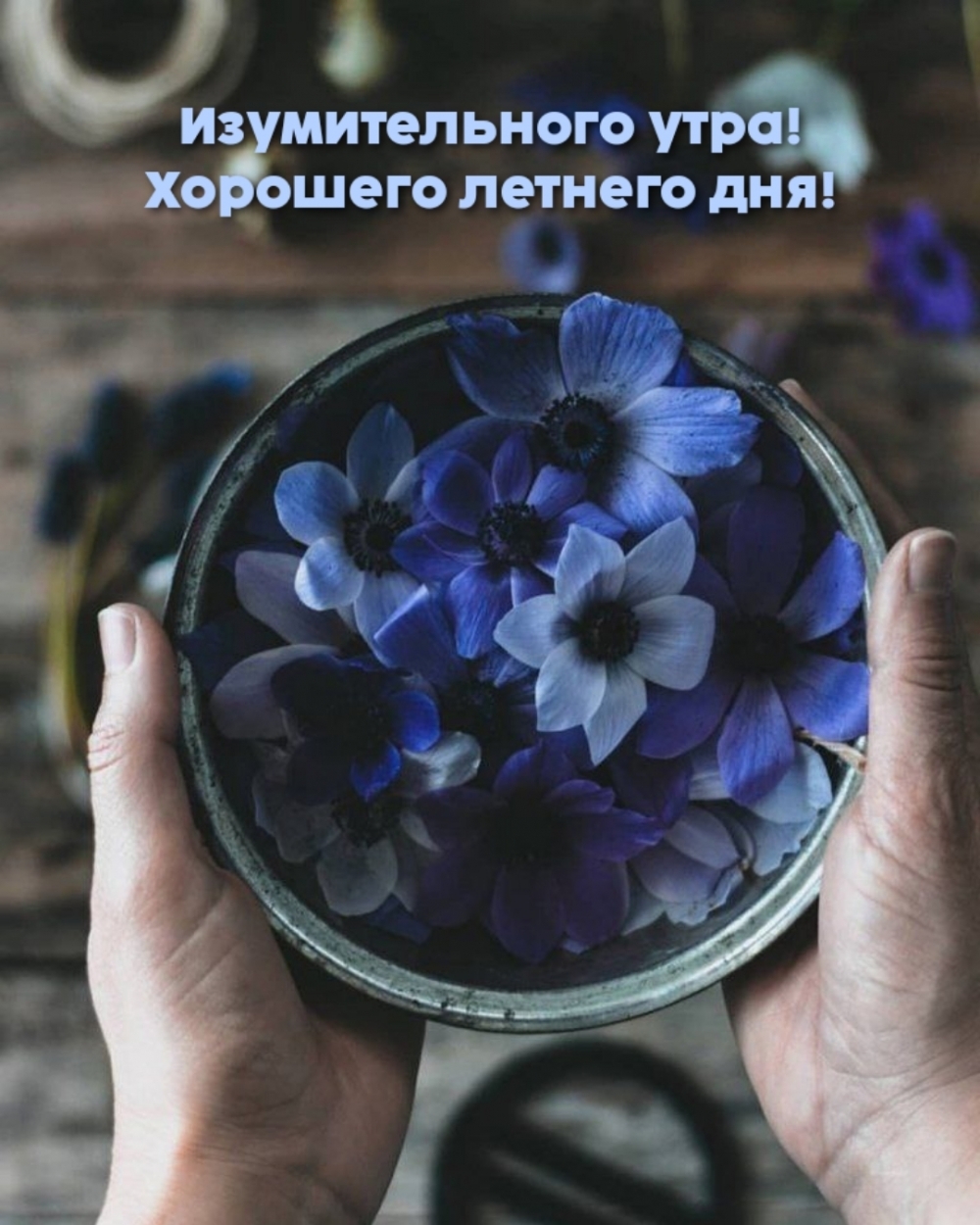 ������������� ����! �������� ������� ���!.