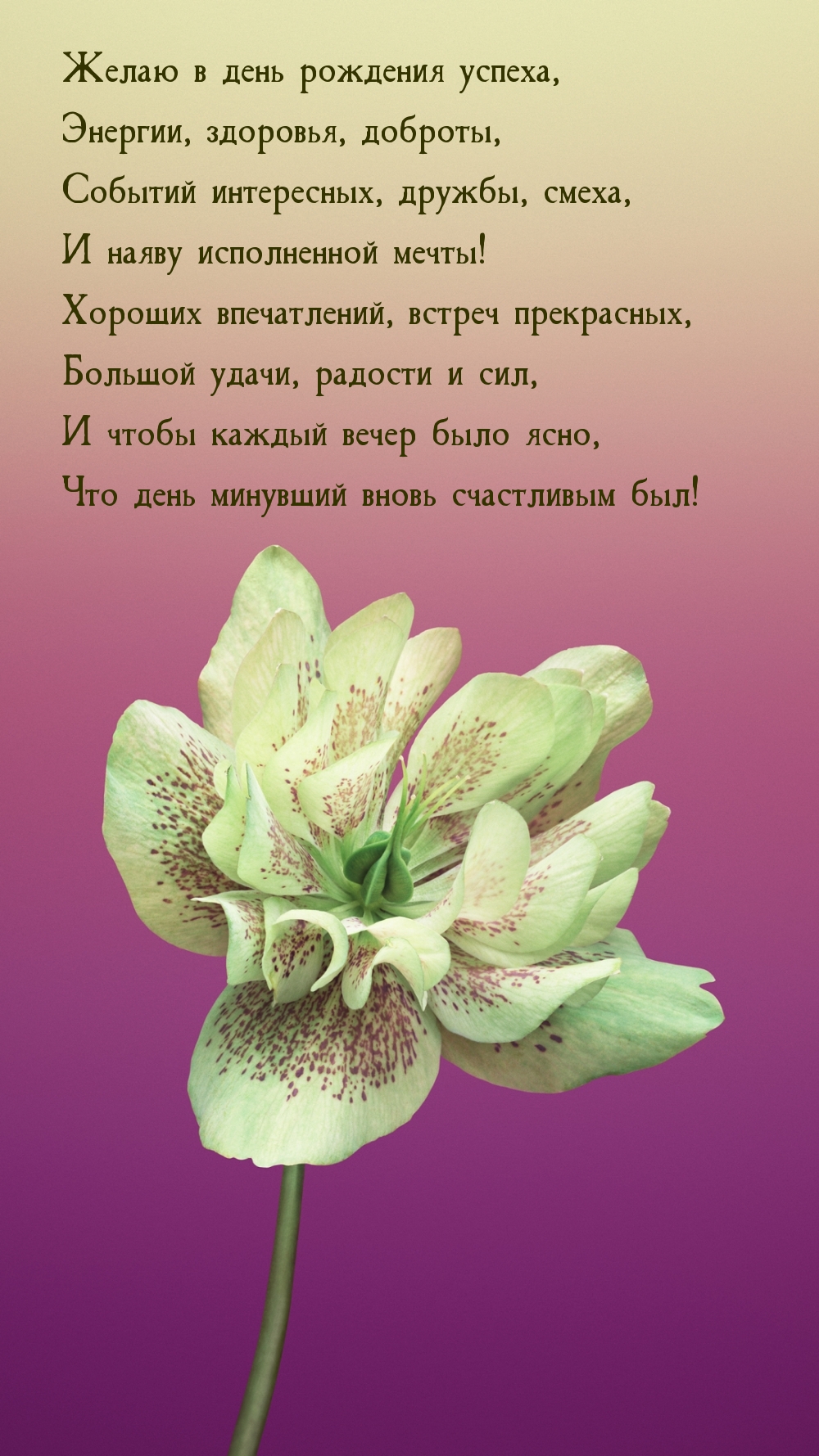 ����� � ���� �������� ������, �������, ��������, �������.