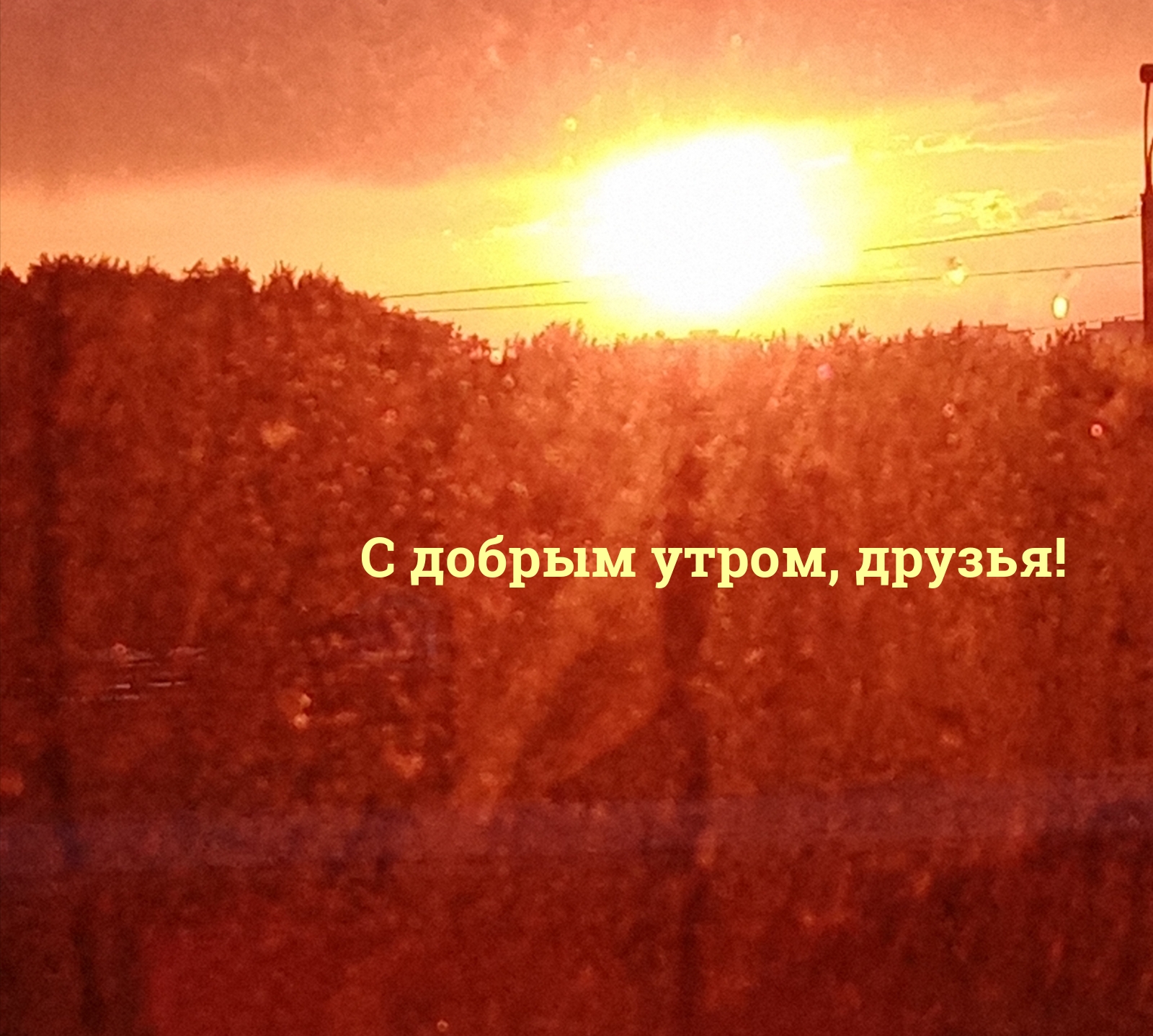 � ������ �����, ������!.