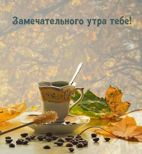 �������������� ���� ����!.