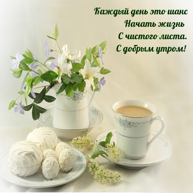 ������ ���� ��� ���� ������ ����� � ������� �����. � ������ �����!.