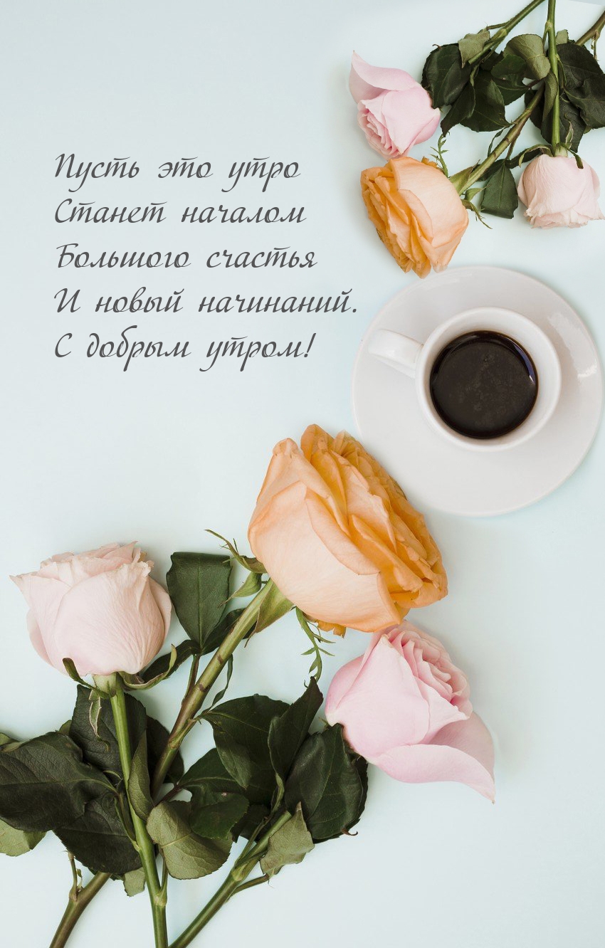 ����� ��� ���� ������ ������� �������� �������.