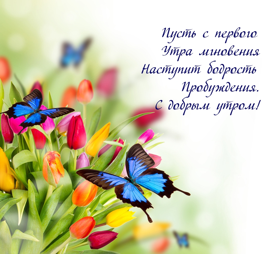 ����� � ������� ���� ��������� �������� ��������.