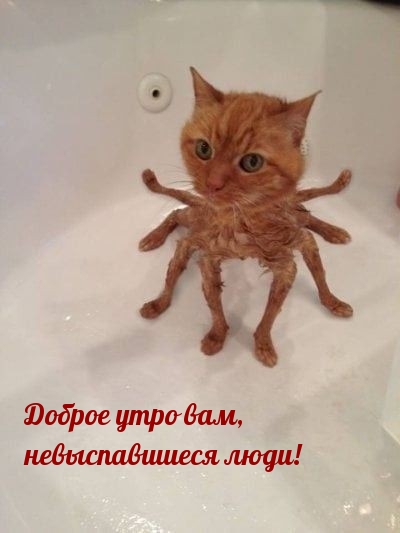 ������ ���� ���, ������������� ����!