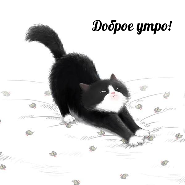 ������ ����!.