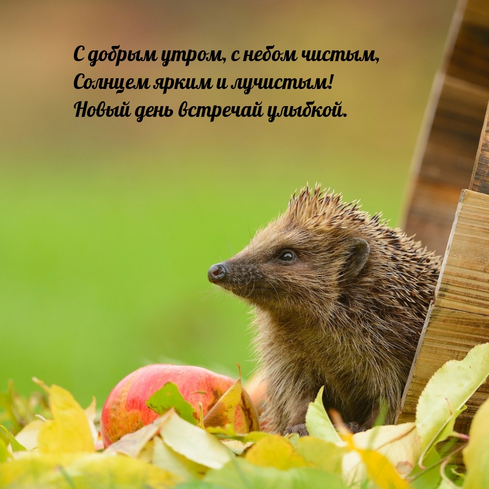 � ������ �����, � ����� ������, ������� ����� � ��������!.