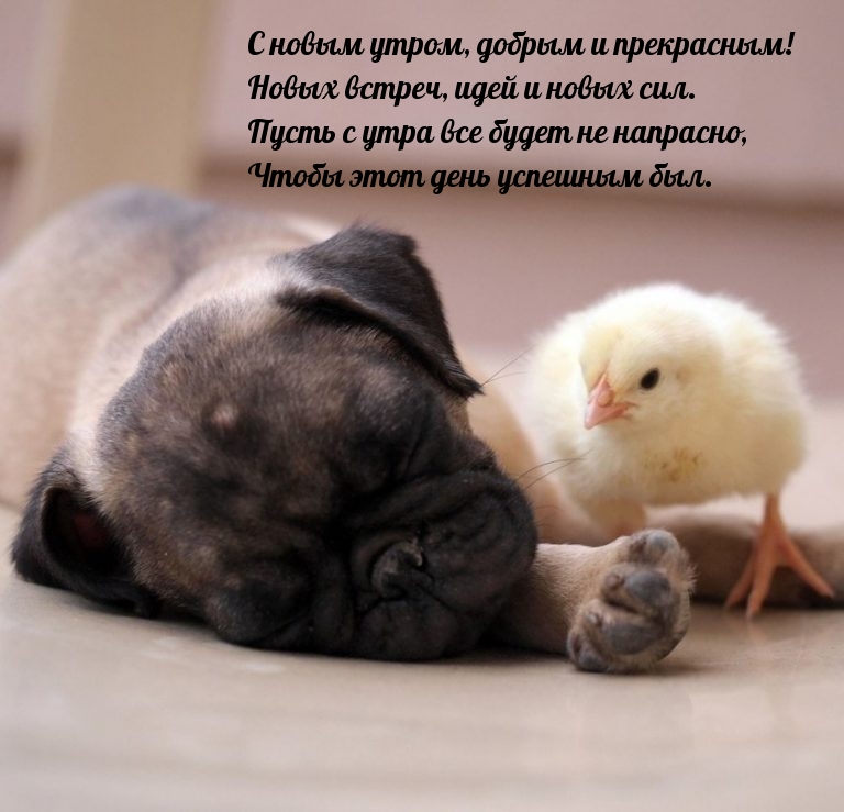 � ����� �����, ������ � ����������!.