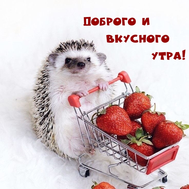 ������� � �������� ����!.