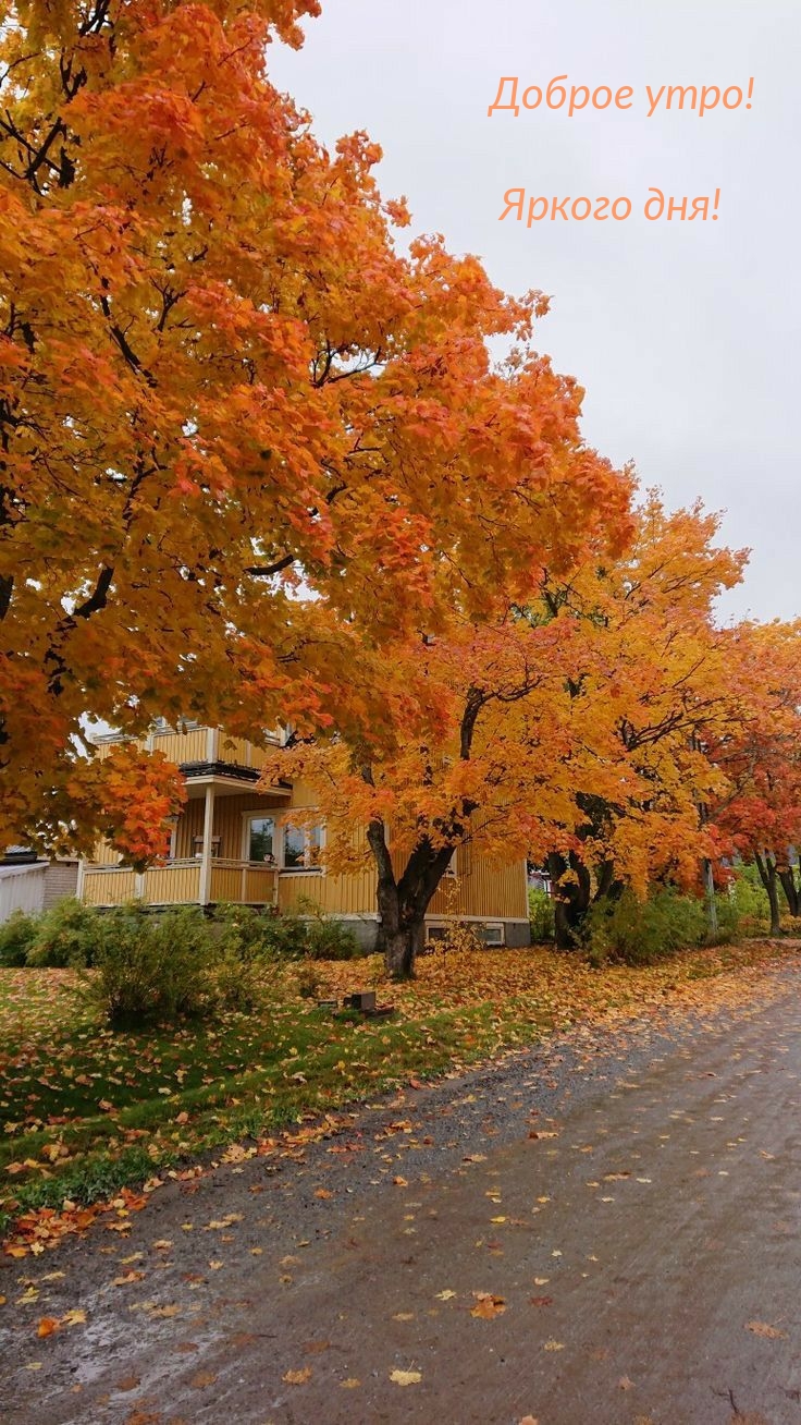 ������ ����! ������ ���!