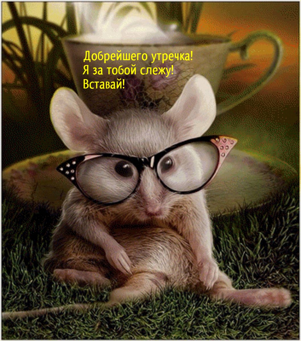 Добрейшего утречка! Я за тобой слежу! Вставай!