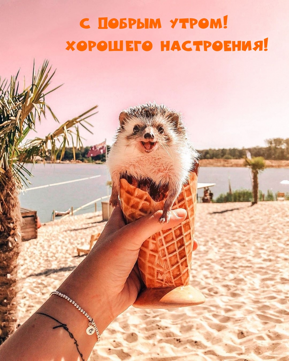 � ������ �����! �������� ����������!.