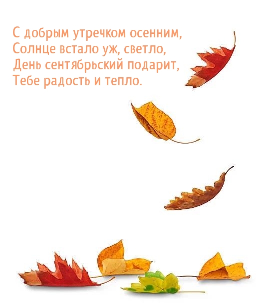 � ������ �������� �������, ������ ������ ��, ������