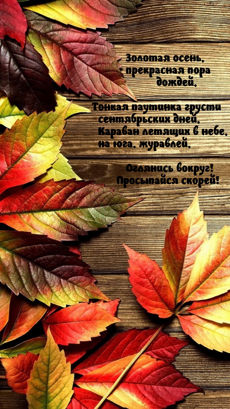 �����, ���������� ���� ������. �������� ������ ������������ ����
