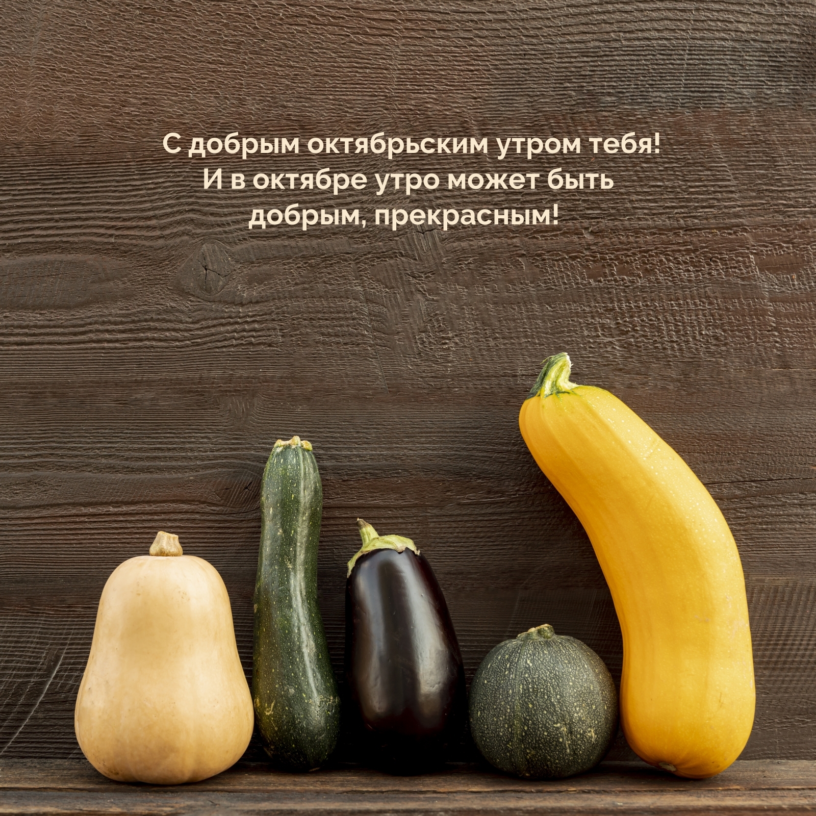 � � ������� ���� ����� ���� ������, ����������! 