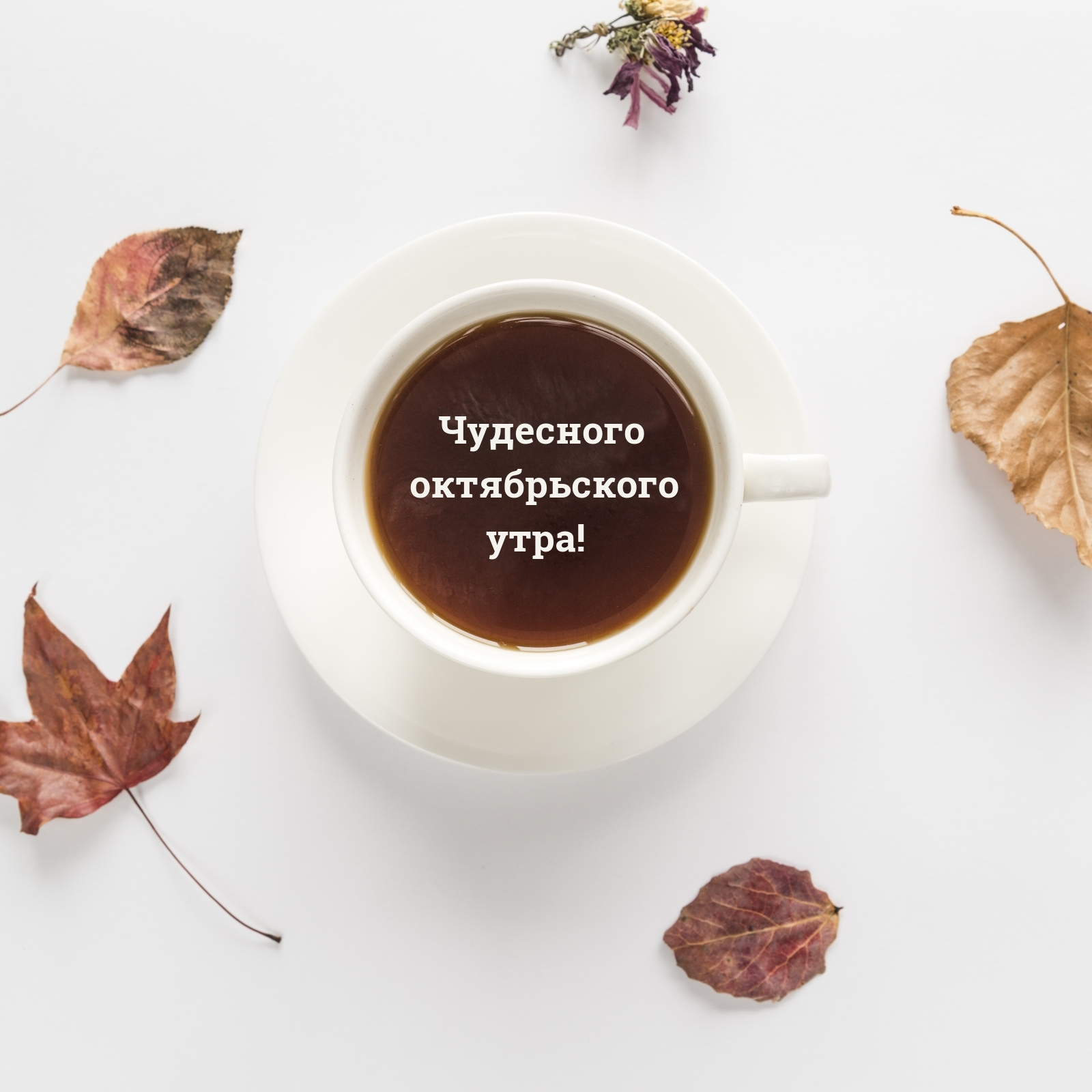  !.