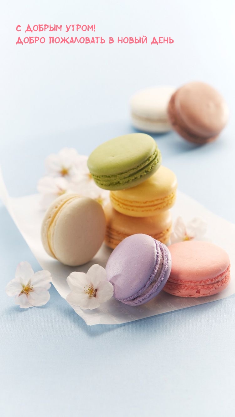 � ������ �����! ����� ���������� � ����� ����.