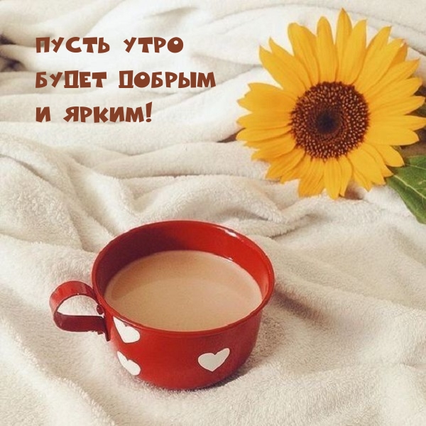 ����� ���� ����� ������ � �����!.