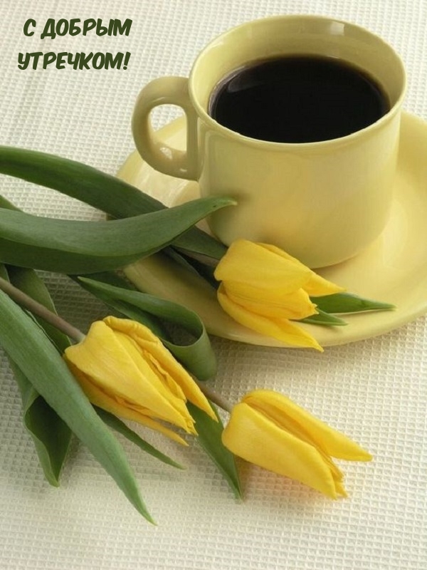 � ������ ��������!.