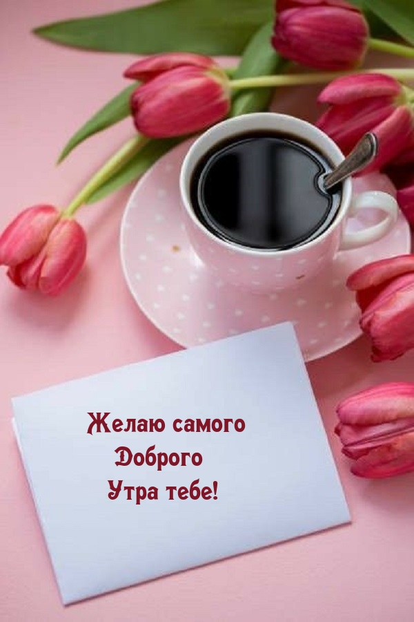 ����� ������ ������� ���� ����!.