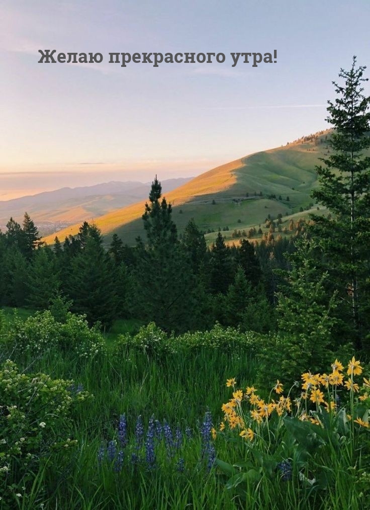 ����� ����������� ����!.