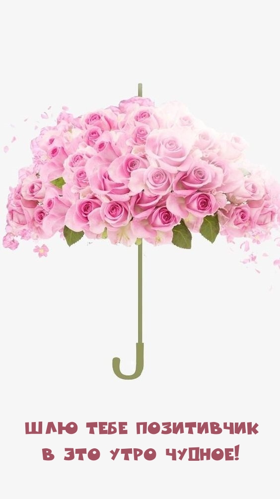 ��� ���� ���������� � ��� ���� ������!.