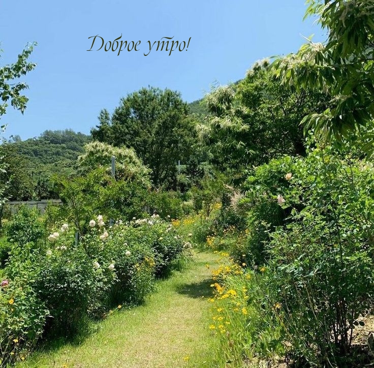 ������ ����!.