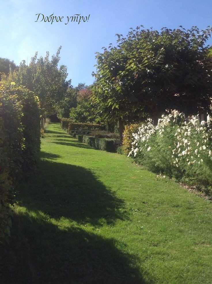 ������ ����!.