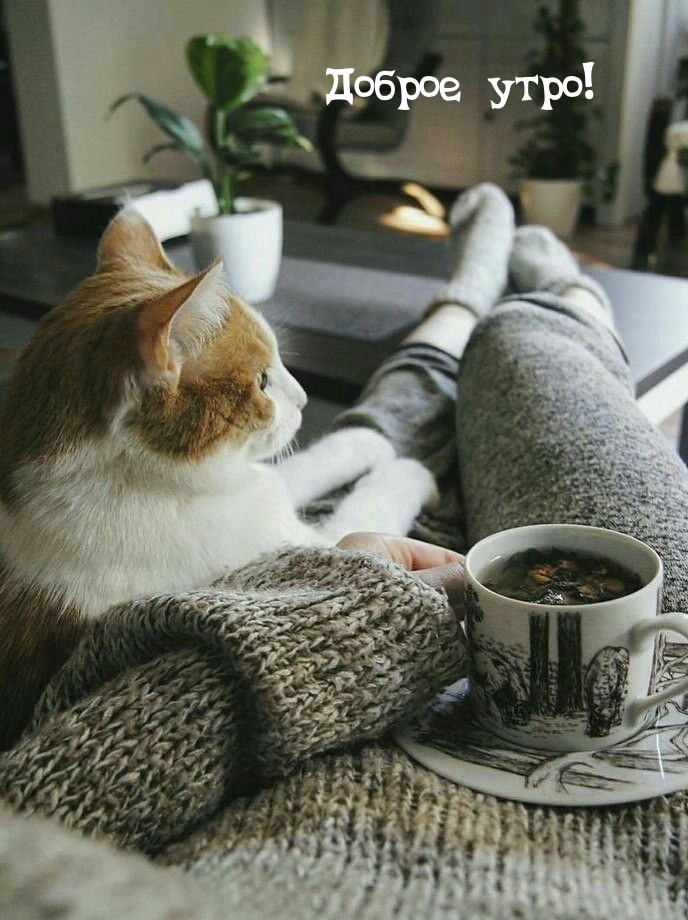 ������ ����!.