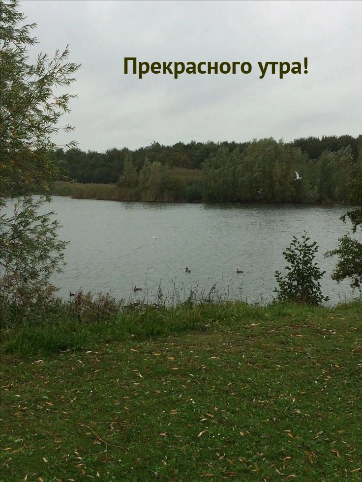 ����������� ����!.