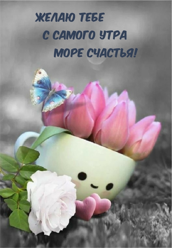 ����� ���� � ������ ���� ���� �������!.