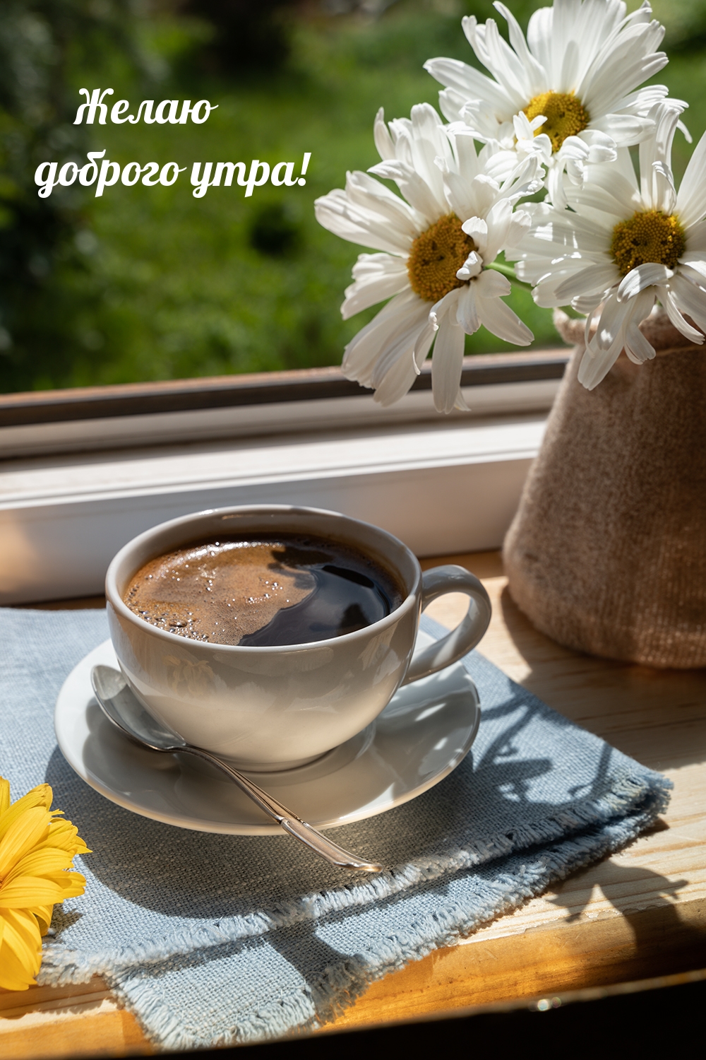 ����� ������� ����!.