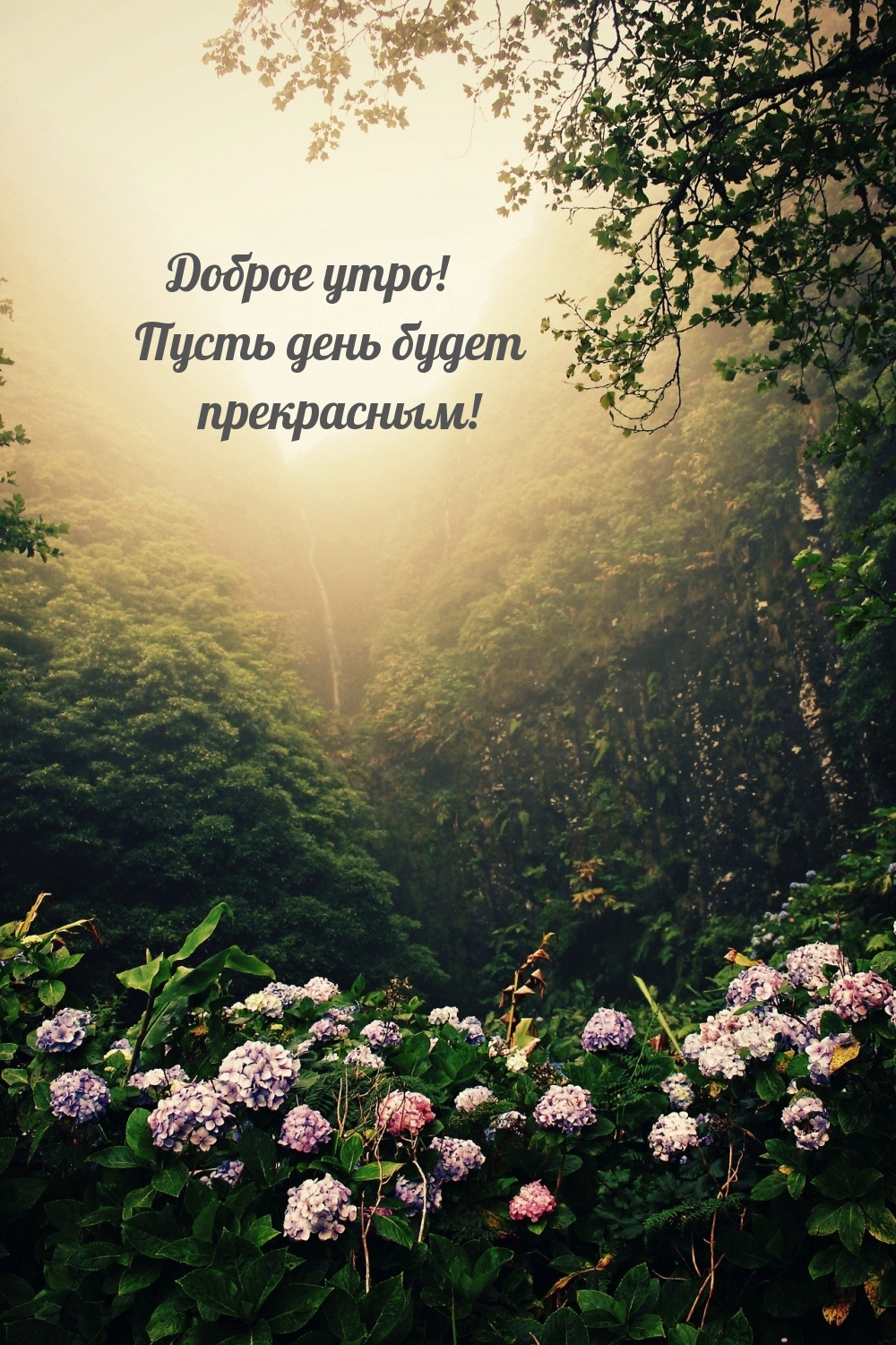 ������ ����! ����� ���� ����� ����������!.