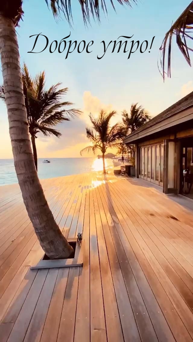 ������ ����!.