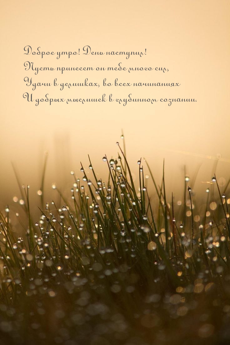 ������ ����! ����� �������� �� ���� ����� ���.