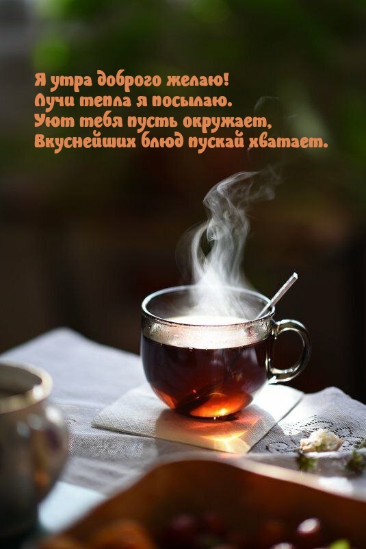 � ���� ������� �����! ���� ����� � �������..