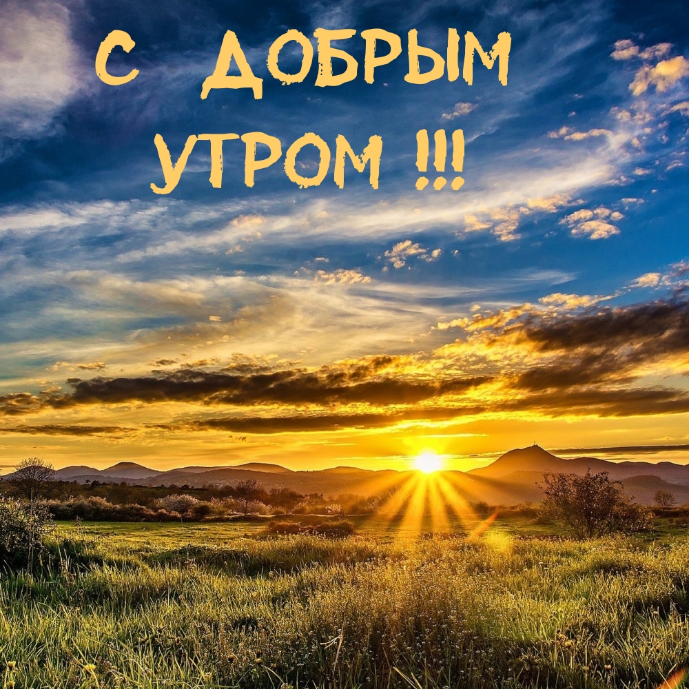 � ������ �����! .