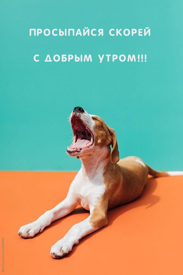 ���������� ������ � ������ �����!.