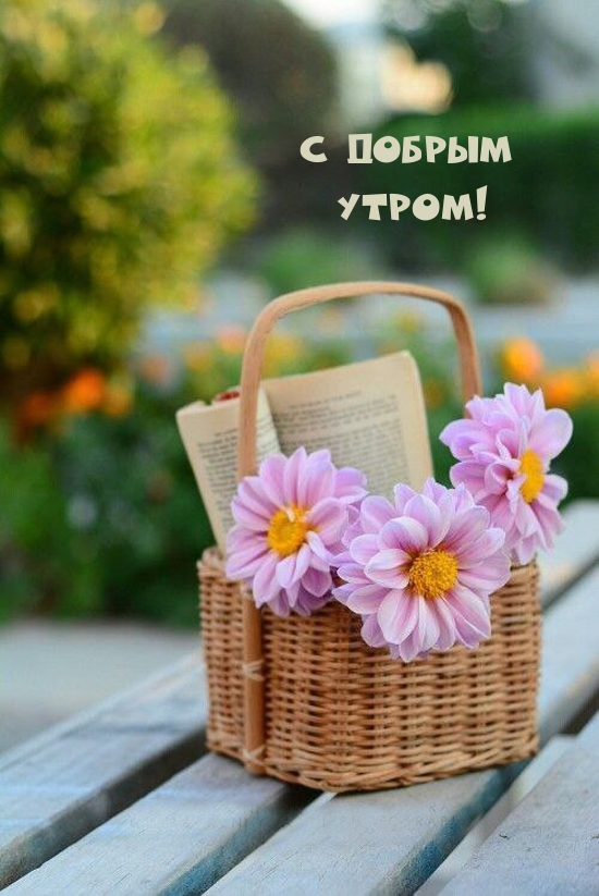 � ������ �����! .