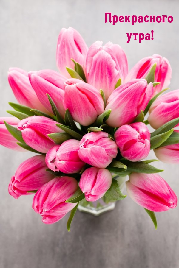 ����������� ����!.