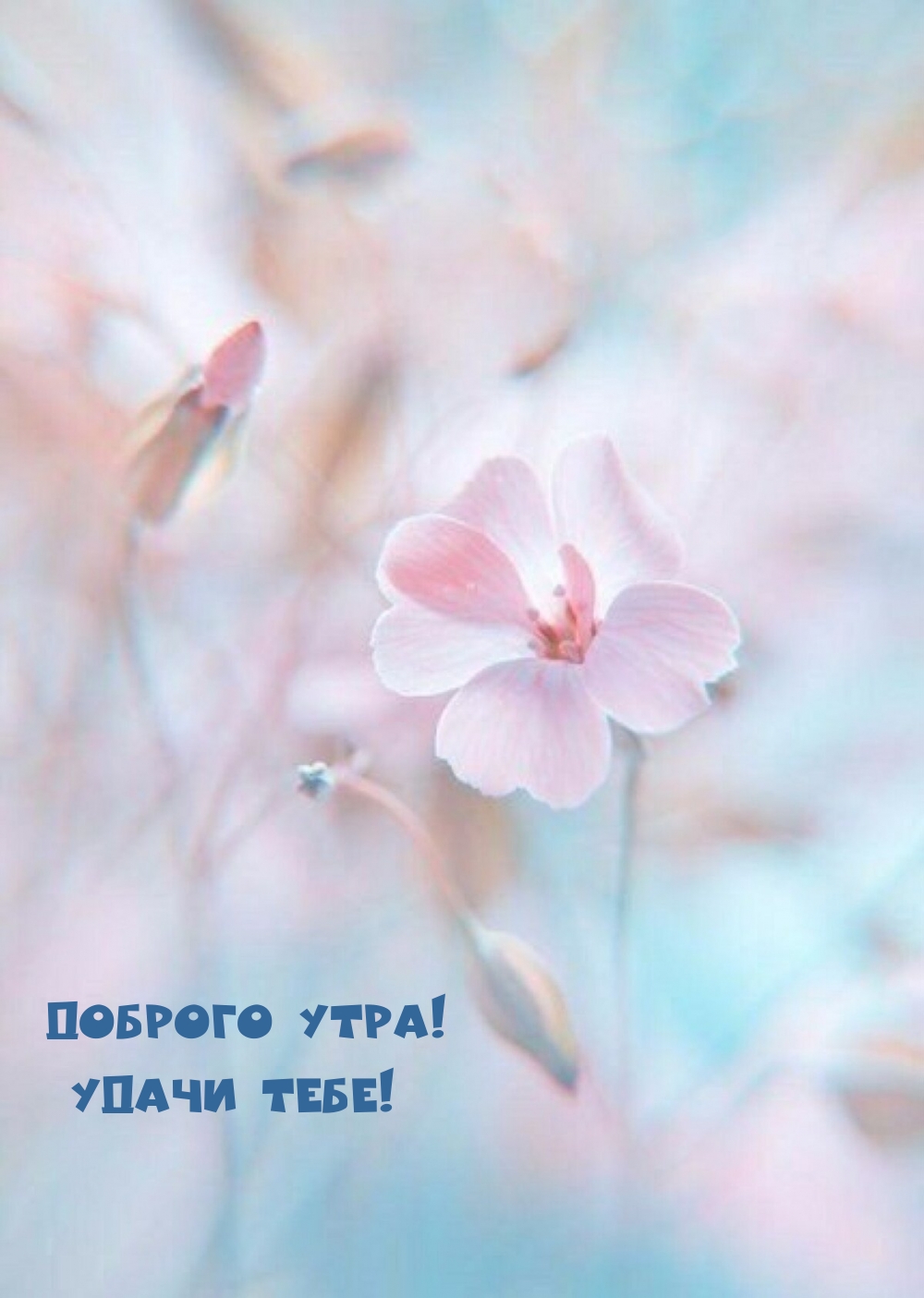 Доброго утра! Удачи тебе!