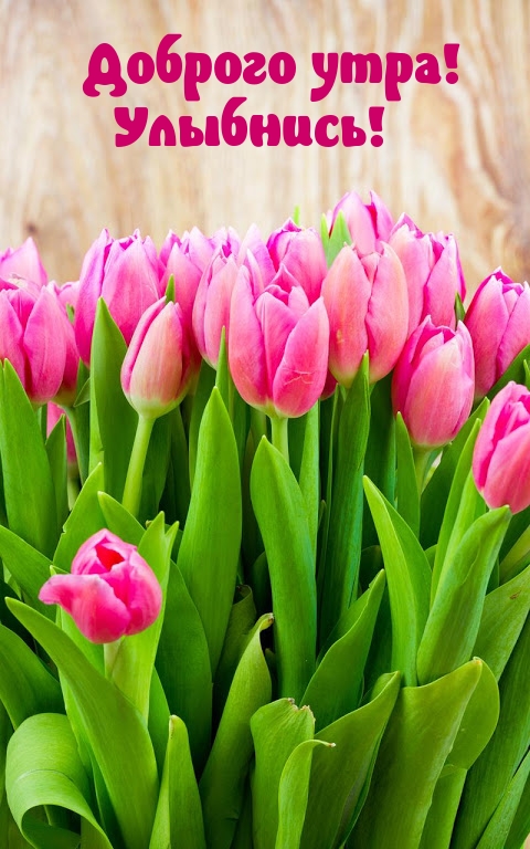 ������� ����! ��������!.